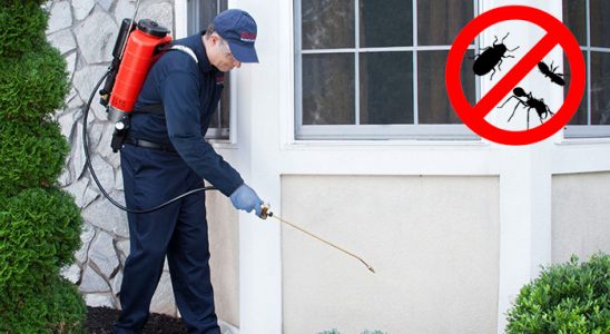 Ödemiş Hamam Böceği İlaçlama böcek ilaçlama ve haşere kontrolü — ilaclama-tr.com